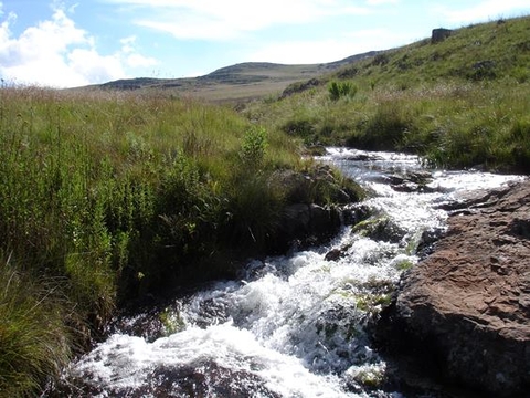 Mpumalanga grassland stream