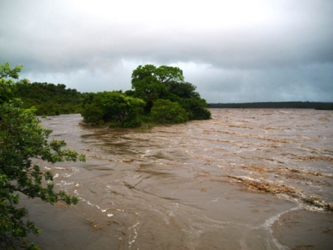 Flood in the Lowveld