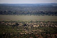 Limpopo flood plain