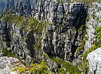 Table Mountain sandstone and fynbos