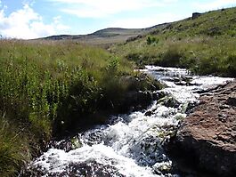 Mpumalanga grassland stream