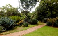 Pretoria National Botanical Garden