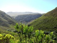 Fynbos slopes 